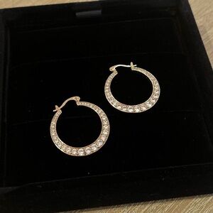 Elegant Gold Hoop Earrings